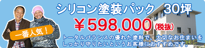 シリコン塗装パック